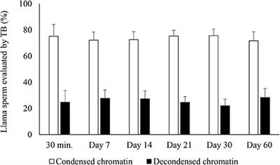 Air-Drying Llama Sperm Affects DNA Integrity